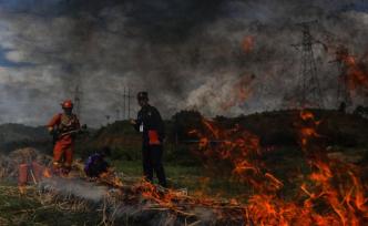 勇往直前！森林消防比武場(chǎng)上，書生也狂野