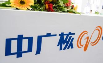 “核電一哥”中廣核電力過會，將成國內(nèi)首個純核電股