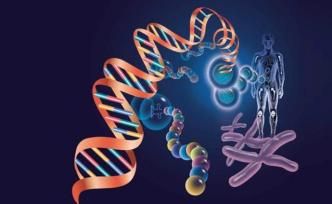 被“妖魔”的转基因｜吃了转基因食品会影响我们的基因吗？