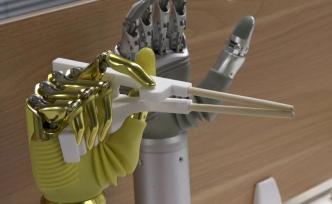 這家張江智能仿生手企業(yè)為何吸引總理