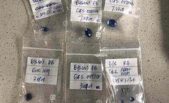 百萬(wàn)藍(lán)寶石被盜？系女子大意丟失寶石后被環(huán)衛(wèi)工分為了干垃圾