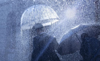 黑龙江绥化两名领导干部充当“保护伞”，主动投案受减轻处理