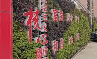 建筑工地一定是“揚塵大戶”？上海虹口22個工地設(shè)綠化圍墻