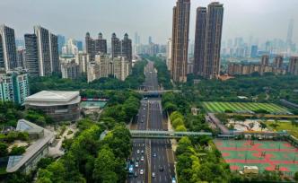 深圳上半年GDP增長7.4%，地區(qū)生產(chǎn)總值超1.2萬億