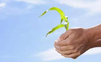 水性漆代替油性漆成本涨15%，但环保达标轻松了销量增加了