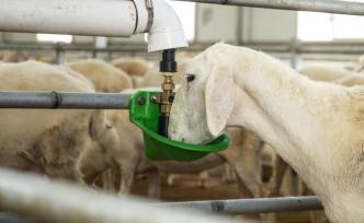 幸福美丽新边疆︱品牌价值助内蒙古农牧业