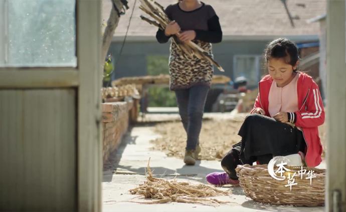 桔梗花開,是這位女孩最期待的幸福