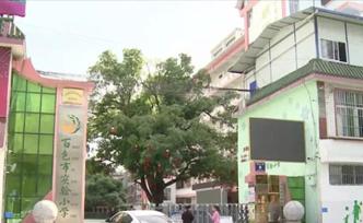 百色一教師孤立一“家長在殯儀館工作”學生，被教育部通報