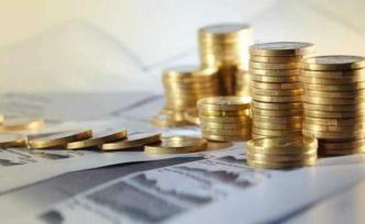 纾困资金和产业资本并行，民营上市公司频获国资入股