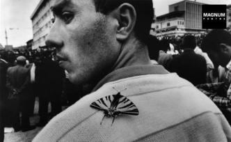 一张照片的故事 | 疯狂人群中的宁静片刻