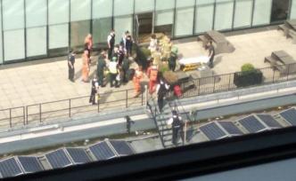17歲少年倫敦美術館頂樓拋下6歲男童