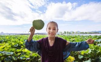 “西湖牌”荷葉蓮蓬開賣，凌晨兩三點(diǎn)就有人排隊(duì)取號(hào)