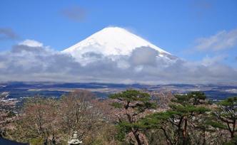 赴日旅游更方便！九月起上海试点日本电子签证，十月全面实施