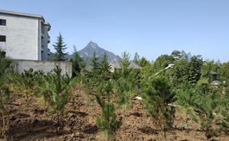 陜西：對反映強烈的秦嶺生態(tài)環(huán)保問題立行立改