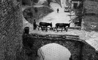 太行驢鄉(xiāng)：日出牽驢而作，日落伴驢而歸