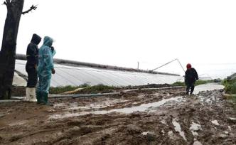 山東媒體聚焦壽光：沒有白流的汗水，沒有白下的功夫