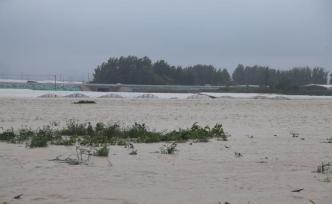 “蔬菜之乡”山东寿光全力防汛，目前预计对菜价影响不会很大