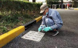 臺風天后要滅蚊，上海開展環境整治活動推出“五字真經”