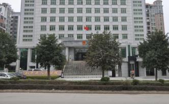 男子網(wǎng)售自制專利火柴槍被判制售槍支：一審獲刑四年，將上訴