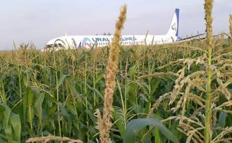 莫斯科一飛機起飛階段撞了鳥致發(fā)動機起火硬著陸，23人受傷