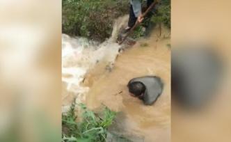 水庫將決堤，村干部跳進泄洪口清理雜物