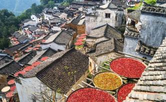 除了油菜花，婺源還有一座被群山環(huán)抱建于半山腰的古村落