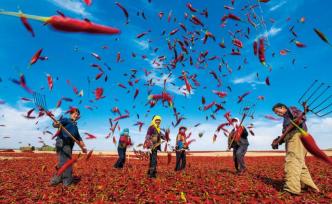 《求是》编辑部：确保如期全面打赢脱贫攻坚战