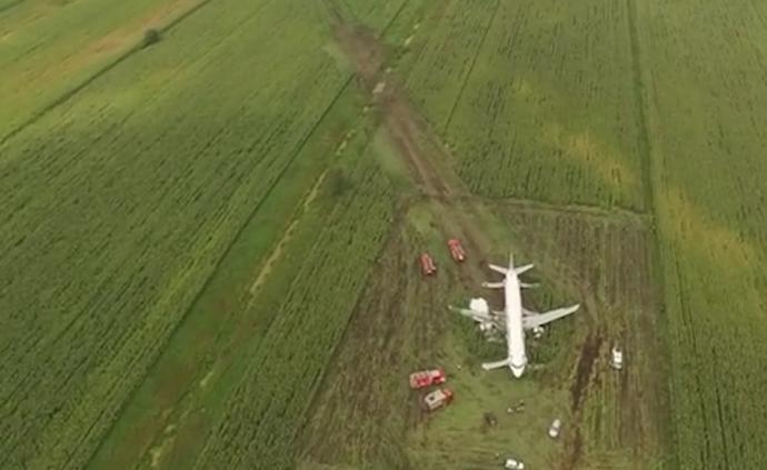 俄羅斯客機迫降玉米地航拍:滑行數(shù)百米