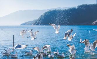 云南：旅游市場秩序實現根本性好轉，建設“大滇西旅游環線”