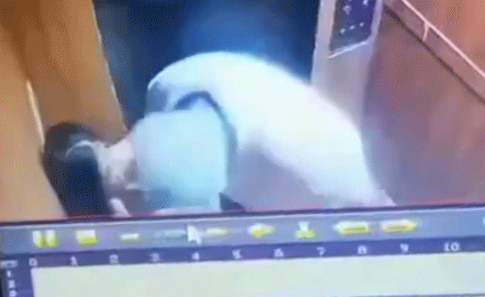 6旬老人電梯猥褻女童，因高血壓未收押