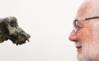 人猿揖别：700万年前的“岔路口”，他走向人类这边