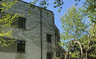 你的地方·回顧｜我為什么喜歡看城市植物