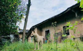 一个童养媳12年的逃亡