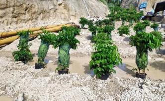 福建漳浦：無證礦山和非法砂場已全面關(guān)停，21人被拘