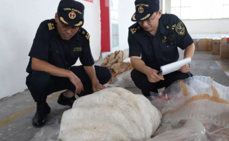 一旅客攜120斤硨磲12件疑似瑪瑙石等入境，被海關(guān)查獲