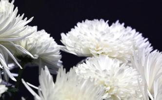 38歲海南日報社專題部副主任張中寶突發(fā)重病辭世