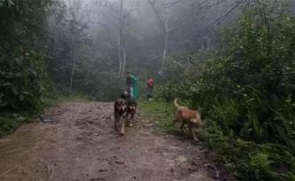 驢友大明山失聯(lián)獲救后拒繳罰款，管理方：視情況申請(qǐng)強(qiáng)制執(zhí)行