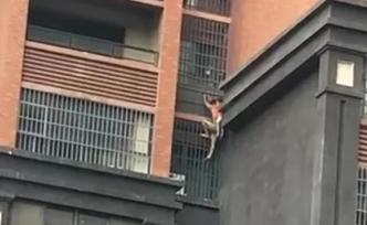 長沙一小區(qū)8樓起火，患胃癌的爺爺背著堂孫翻防盜窗爬墻逃生