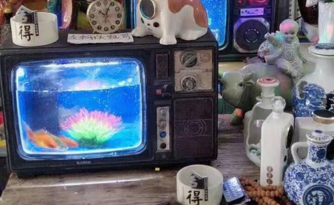 黑白電視機(jī)里養(yǎng)金魚(yú)，小伙變廢為寶讓人眼前一亮
