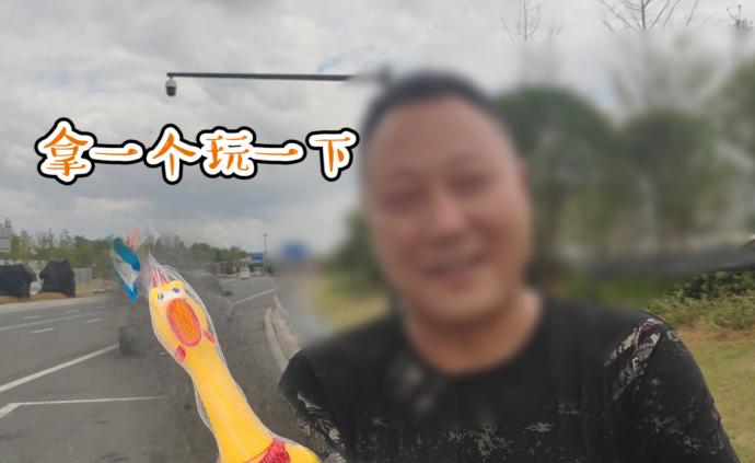 網(wǎng)紅“尖叫雞”散落高速，司機(jī)驚險(xiǎn)撿拾