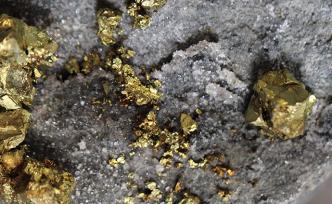 駐科特迪瓦使館：提醒中國(guó)公民切勿在科非法采金