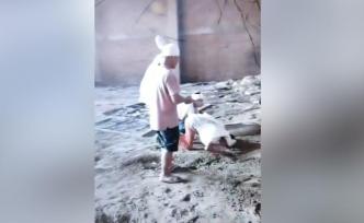 為漲粉，主播讓智障人士打架跪拜被刑拘
