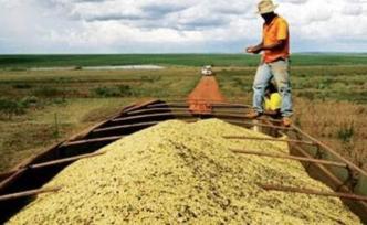 一場(chǎng)大火凸顯經(jīng)濟(jì)與環(huán)保兩難困局，巴西農(nóng)產(chǎn)品或遭全球抵制