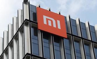 今年A股IPO终止审查企业增至38家，小米集团等在列