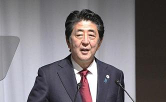 安倍將在東方經(jīng)濟(jì)論壇上與普京會(huì)面，計(jì)劃討論和平條約問題