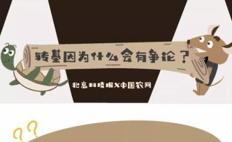 轉(zhuǎn)基因為什么會有爭論？