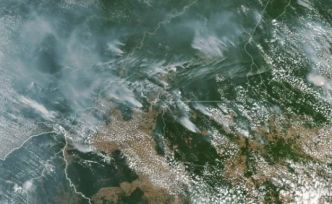 亞馬孫雨林大火仍在燃燒！背后的真相你了解嗎?