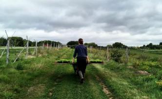 英國有機農(nóng)場的日與夜