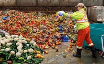 美式超市便宜得夸张，但它带来的美式浪费可能更夸张