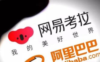 考拉必須賣，網(wǎng)易要瘦